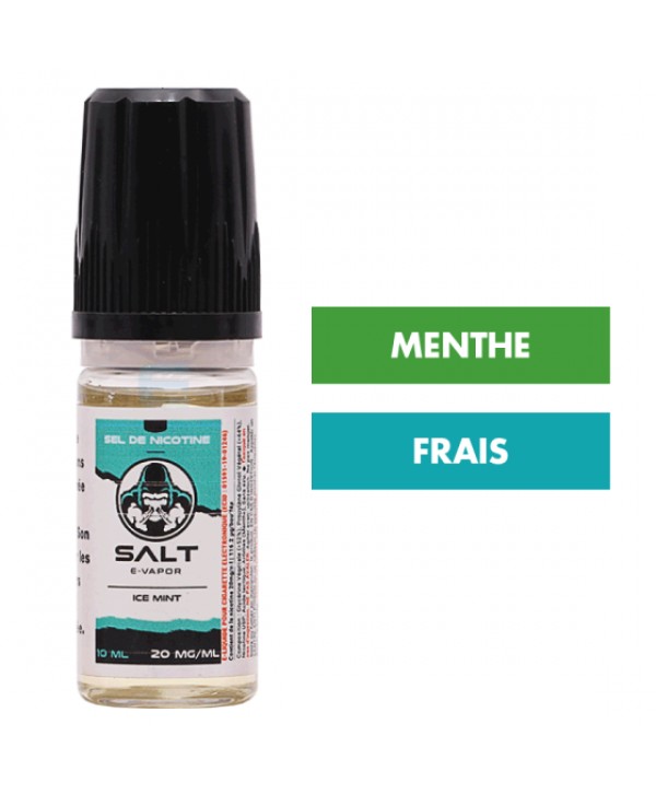 DDM Dépassée - E-liquide Ice Mint 10 mL - Salt E-Vapor (Le French Liquide)